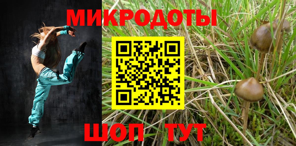 Псилоцибиновые грибы MAGIC MUSHROOMS Электросталь